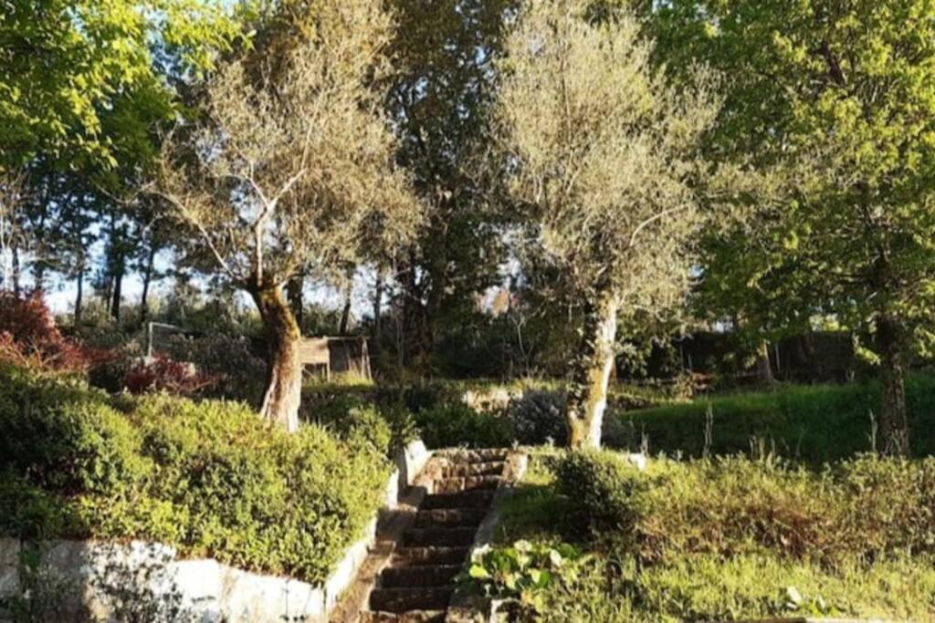 شقة Cavado'S Heights براغا المظهر الخارجي الصورة